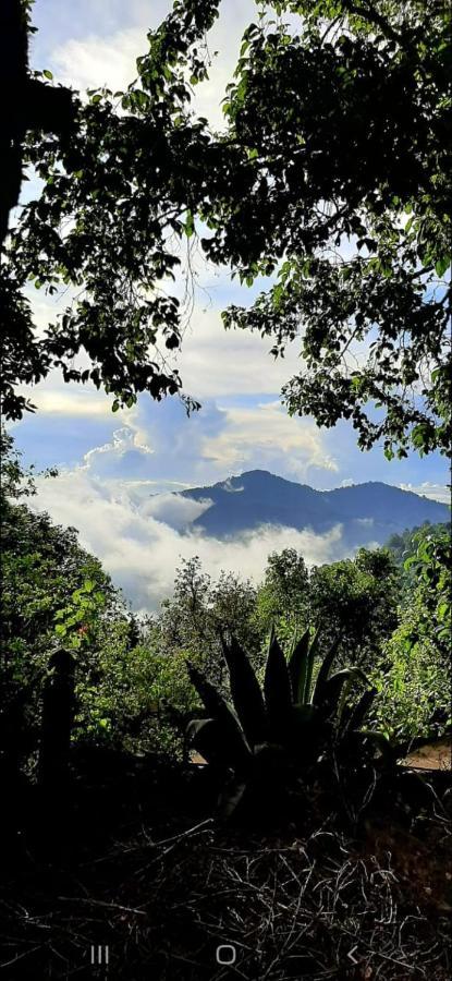 Cabaña La Vía Láctea El Pacifico Esterno foto