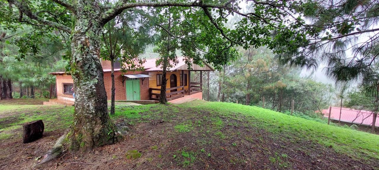 Cabaña La Vía Láctea El Pacifico Esterno foto